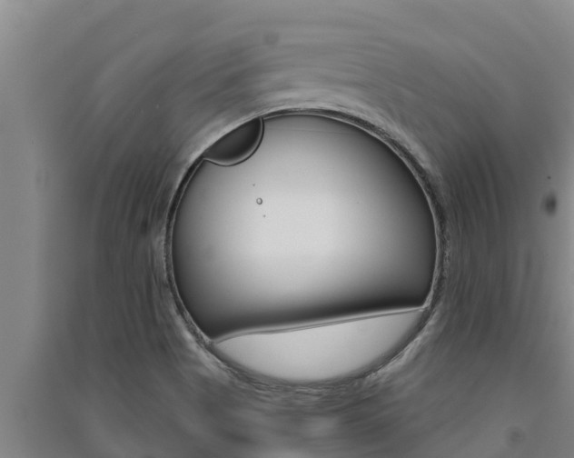 X0000091521513200708170959
