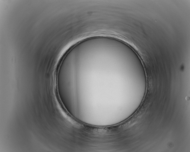 X0000091521515200708170959