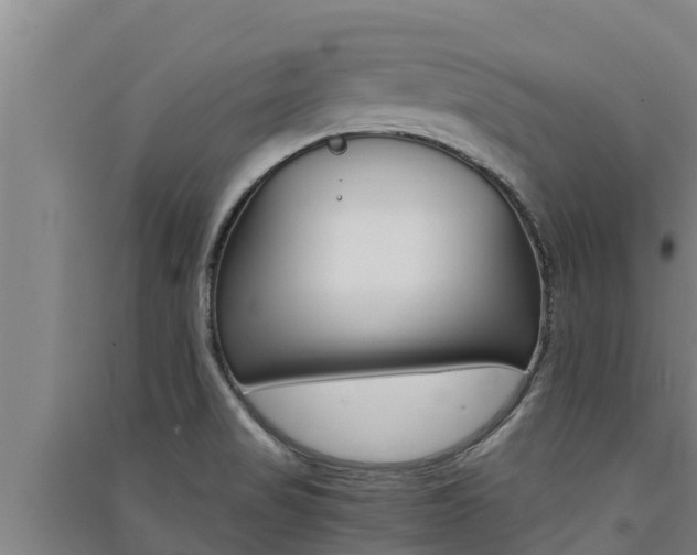 X0000091521517200708170959