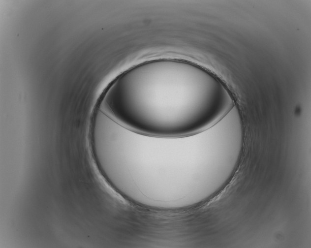 X0000091521518200708170959
