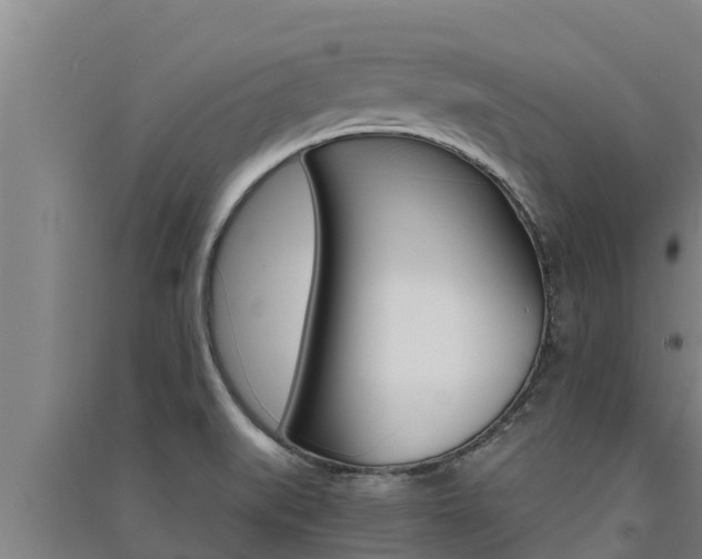 X0000091521519200708170959