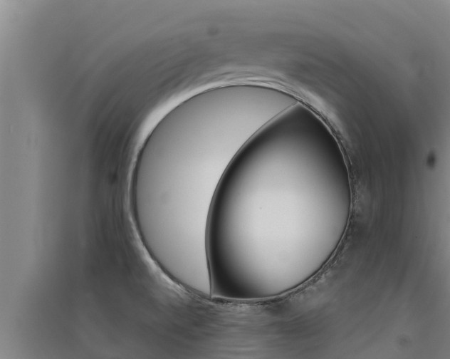 X0000091521520200708170959