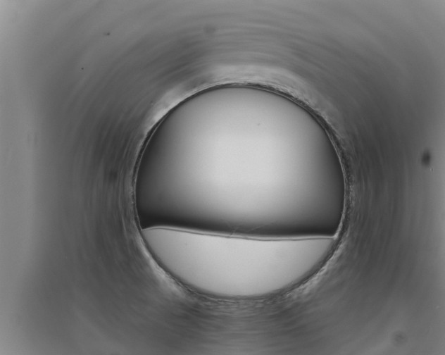X0000091521521200708170959