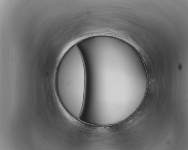 X0000091521523200708170959