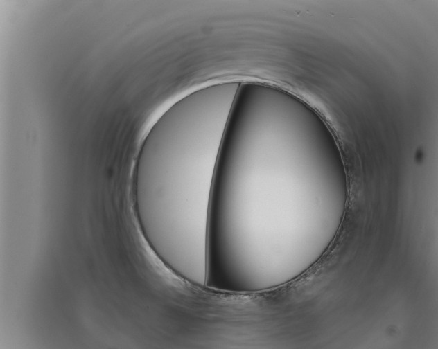X0000091521524200708170959