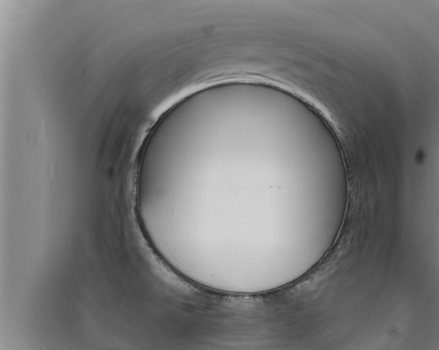 X0000091521526200708170959