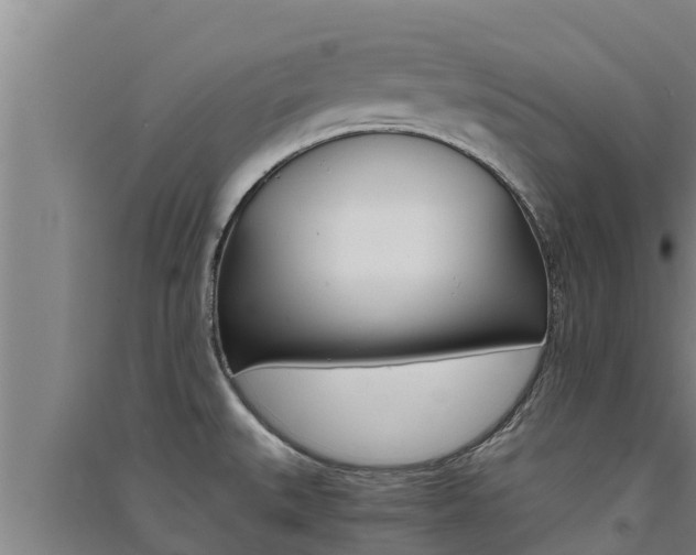 X0000091521527200708170959