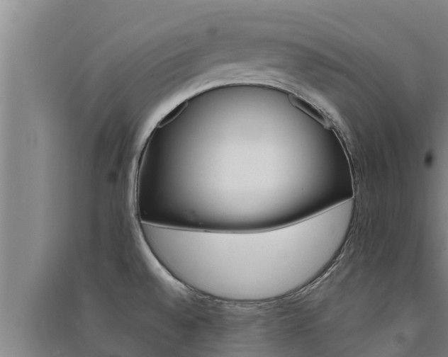 X0000091521528200708170959