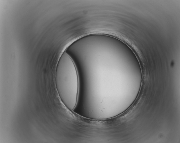 X0000091521529200708170959