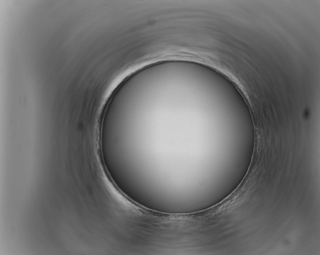 X0000091521531200708170959