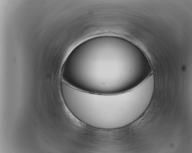 X0000091521532200708170959