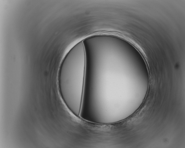 X0000091521533200708170959