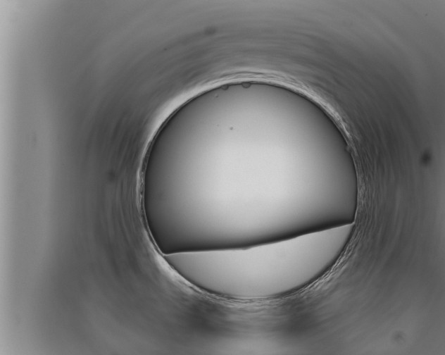 X0000091521535200708170959