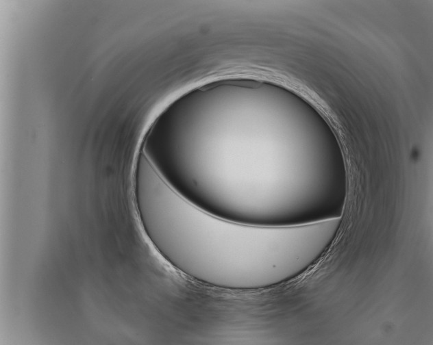 X0000091521536200708170959