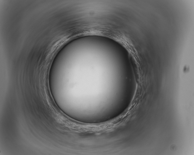 X0000091520001200708171226