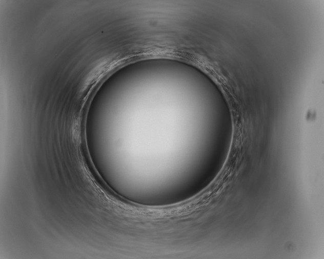 X0000091520002200708171226