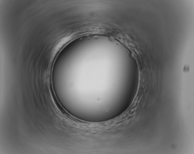 X0000091520003200708171226