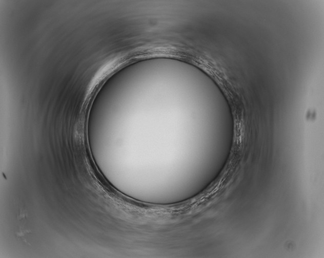 X0000091520004200708171226
