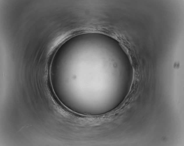 X0000091520005200708171225