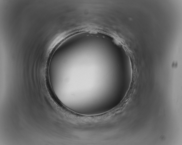 X0000091520007200708171225