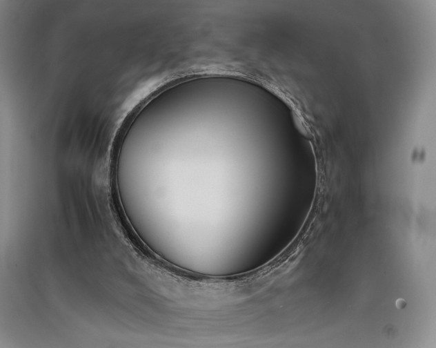 X0000091520008200708171225