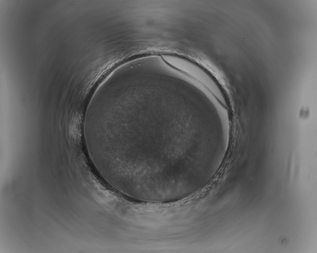 X0000091520009200708171225