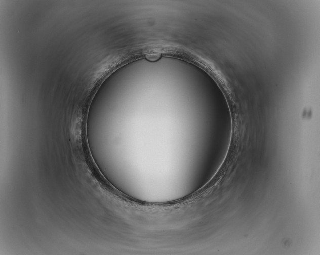 X0000091520010200708171225