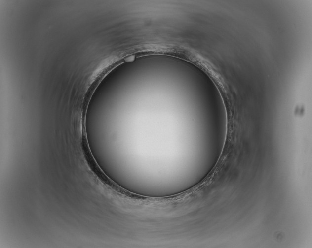 X0000091520011200708171225