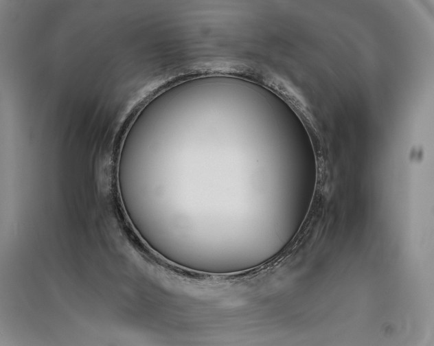 X0000091520012200708171225