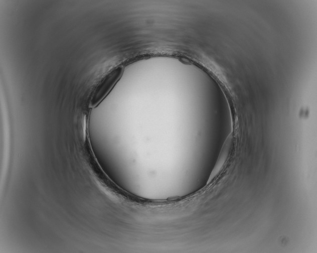 X0000091520013200708171225