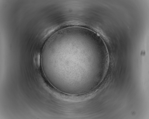 X0000091520014200708171225