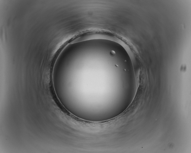 X0000091520015200708171225