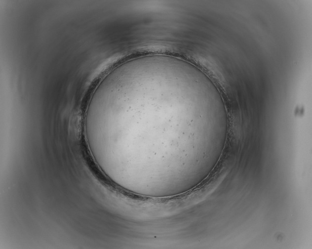 X0000091520016200708171225
