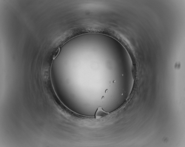 X0000091520017200708171225