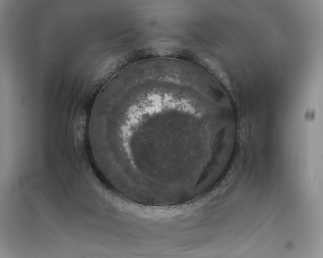 X0000091520018200708171225