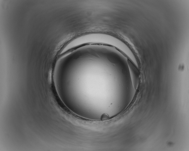 X0000091520019200708171225