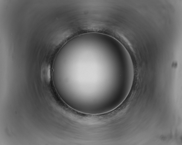 X0000091520020200708171225