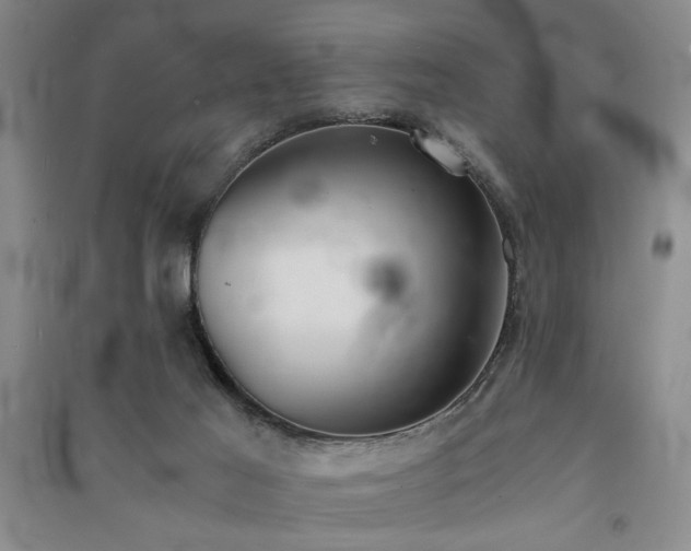 X0000091520021200708171225