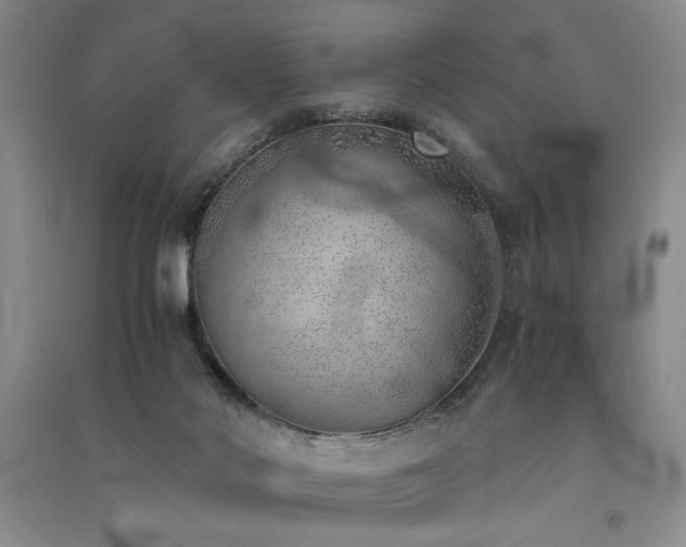 X0000091520022200708171225