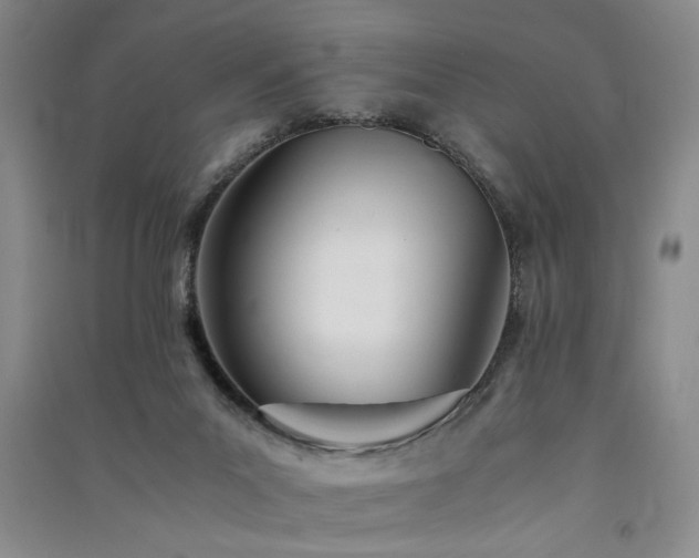 X0000091520023200708171225