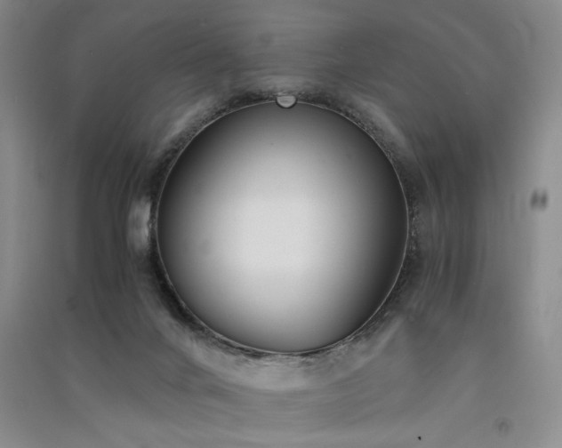 X0000091520024200708171225