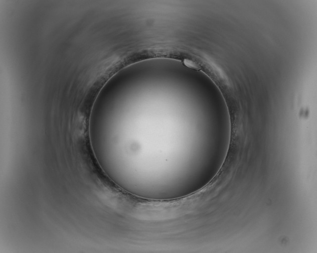 X0000091520025200708171225