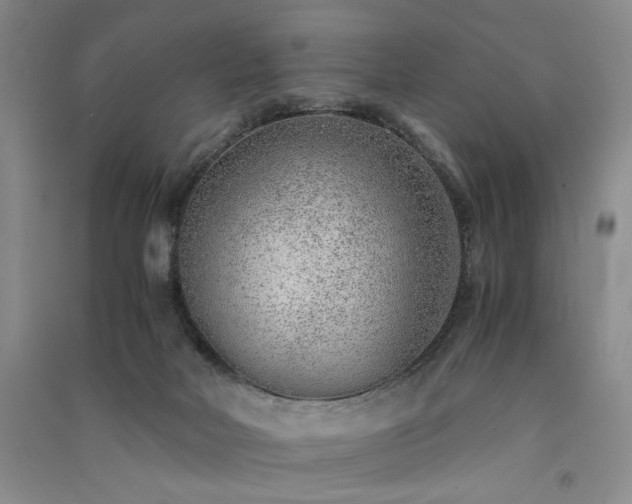 X0000091520026200708171225