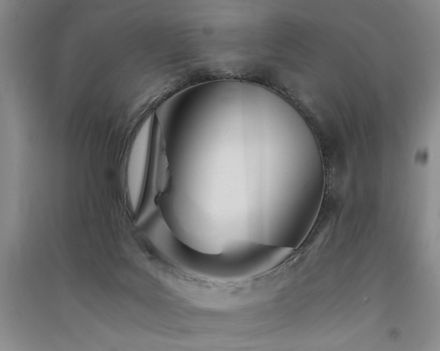 X0000091520027200708171225
