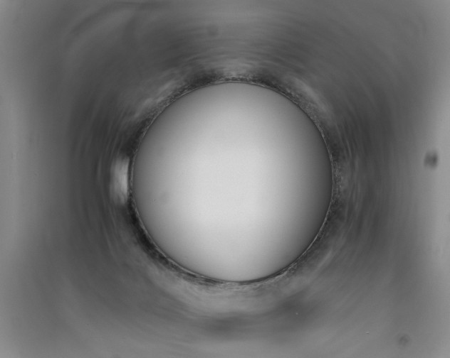 X0000091520028200708171225