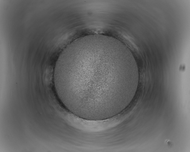 X0000091520030200708171225