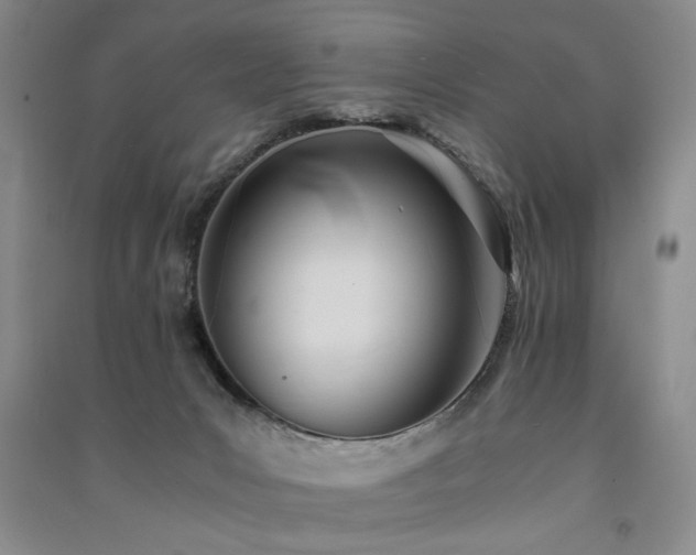 X0000091520031200708171225