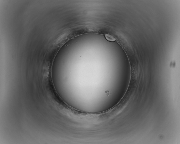 X0000091520032200708171225