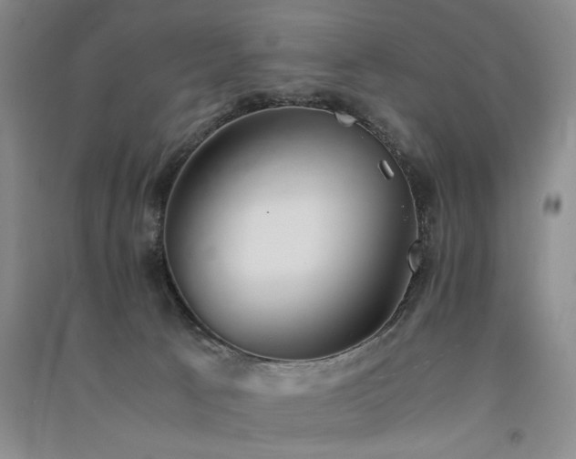 X0000091520033200708171225