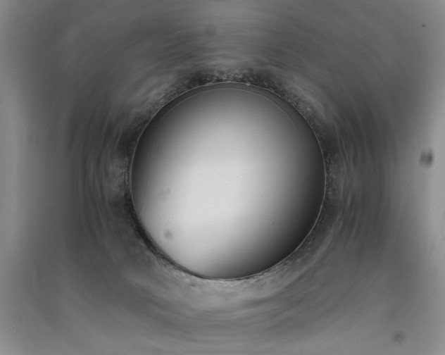 X0000091520034200708171225